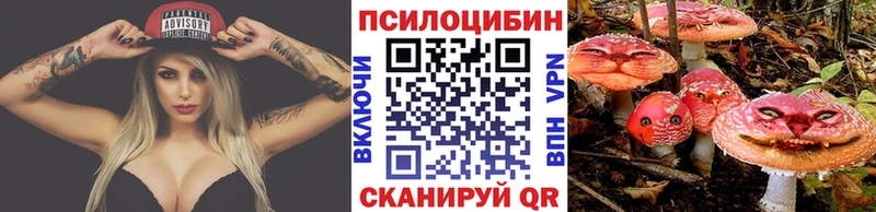 Галлюциногенные грибы GOLDEN TEACHER Унеча