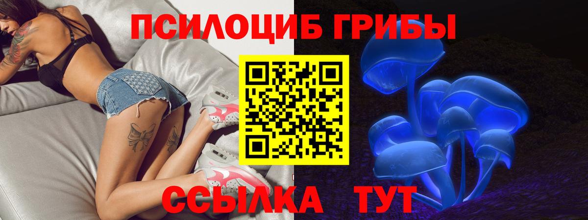 Унеча  Галлюциногенные грибы Cubensis  купить наркоту  Псилоцибиновые грибы MAGIC MUSHROOMS  Вход с VPN 